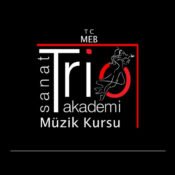 Özel Trio Sanat Akademi Müzik Kursu