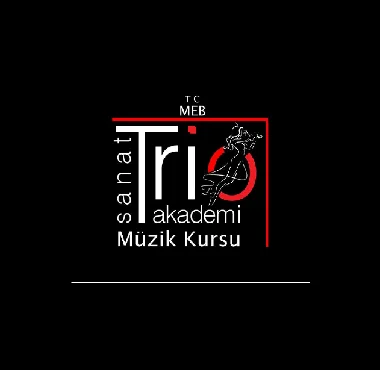 Özel Trio Sanat Akademi Müzik Kursu